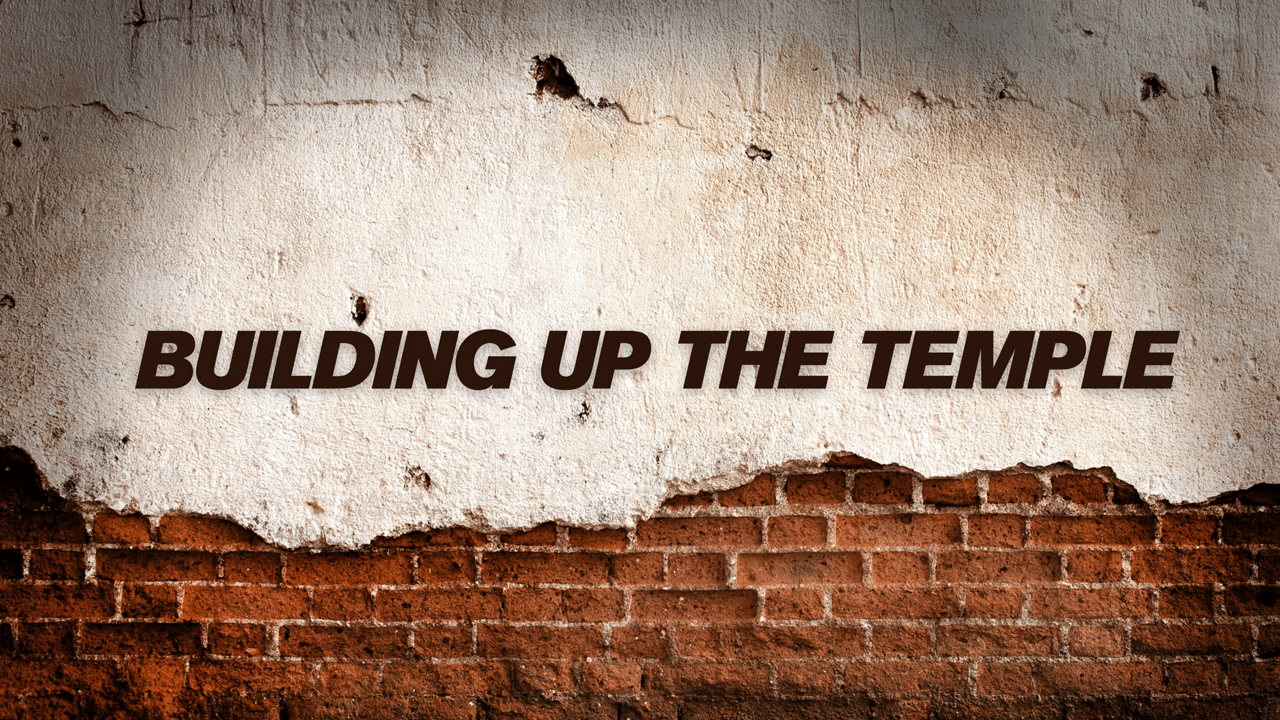 Featured image for “Building up the Temple – A Study of Haggai”