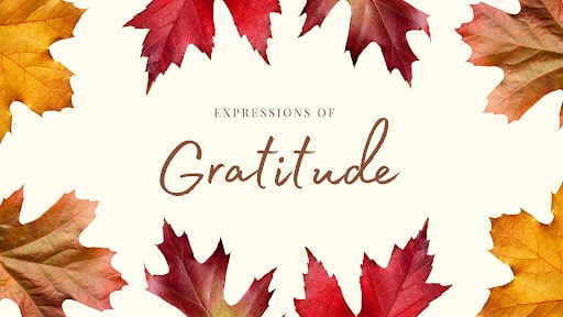 Featured image for “Expressions of Gratitude”